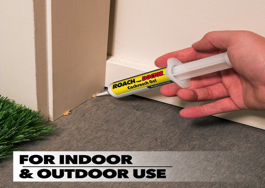 عجينة الصراصير السحرية عجينة الصراصير السحرية أدوات المنزل والتخزين عجينة الصراصير السحرية عجينة الصراصير السحرية أدوات المنزل والتخزين