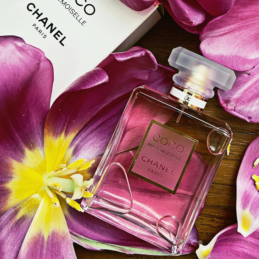 Chanel Coco Maduzelli -Coco Mademoiselle Chanel Chanel Coco Maduzelli -Coco Mademoiselle Chanel Gifts